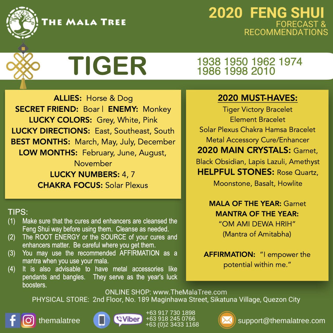 TIGER in 2020 TIGER in 2020